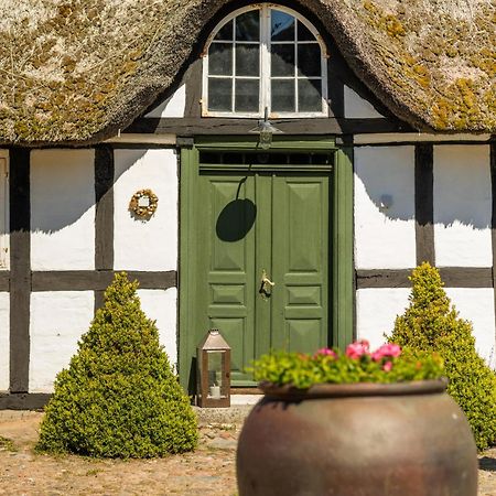 Solbjerggaard Bed & Breakfast フ ァボルグ エクステリア 写真