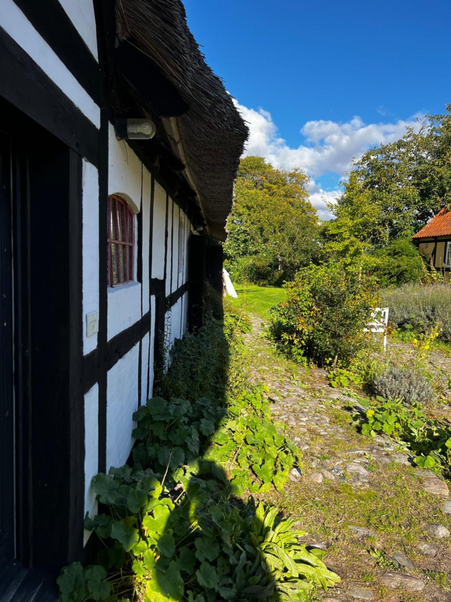 Solbjerggaard Bed & Breakfast フ ァボルグ エクステリア 写真