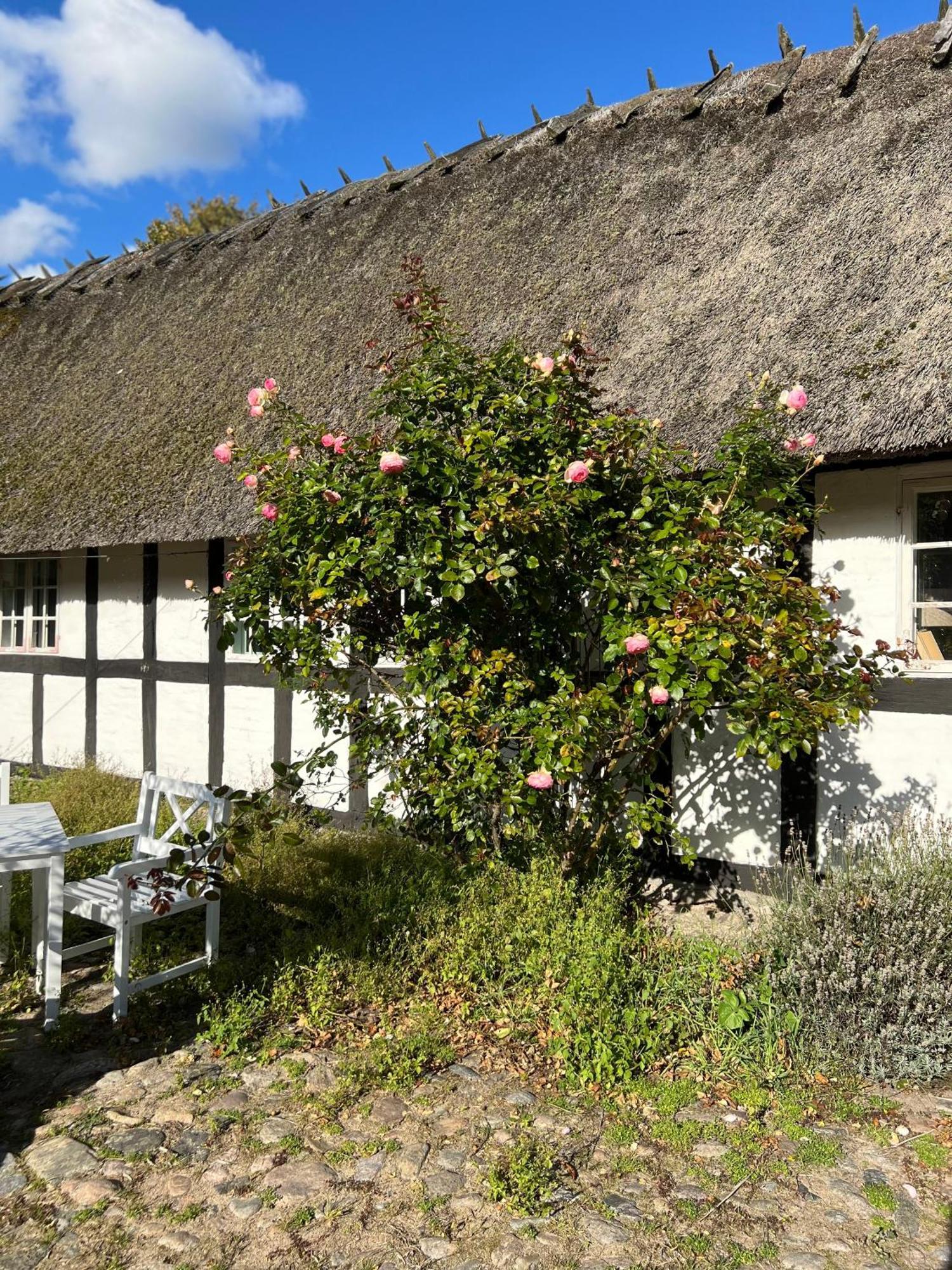 Solbjerggaard Bed & Breakfast フ ァボルグ エクステリア 写真