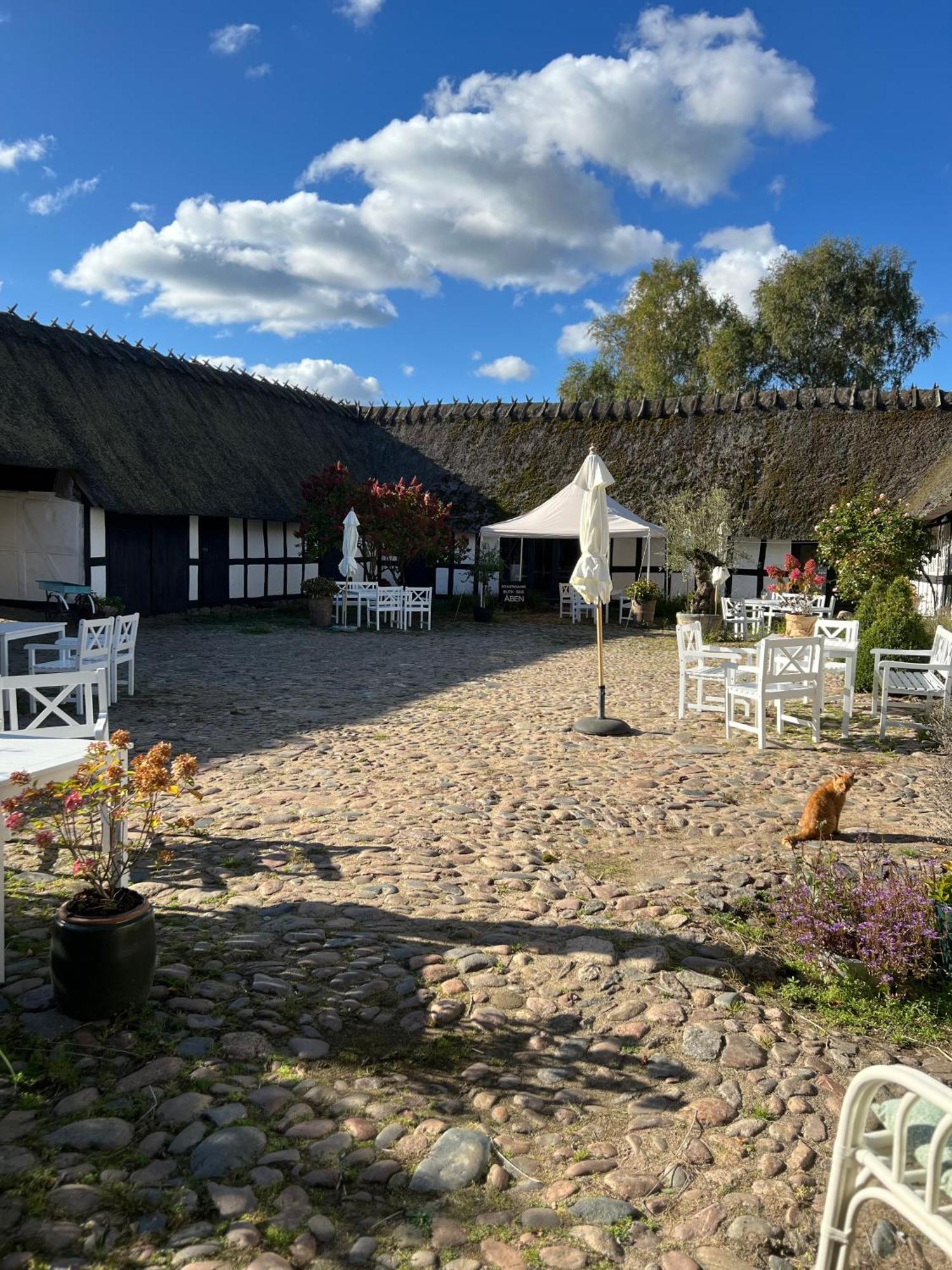 Solbjerggaard Bed & Breakfast フ ァボルグ エクステリア 写真