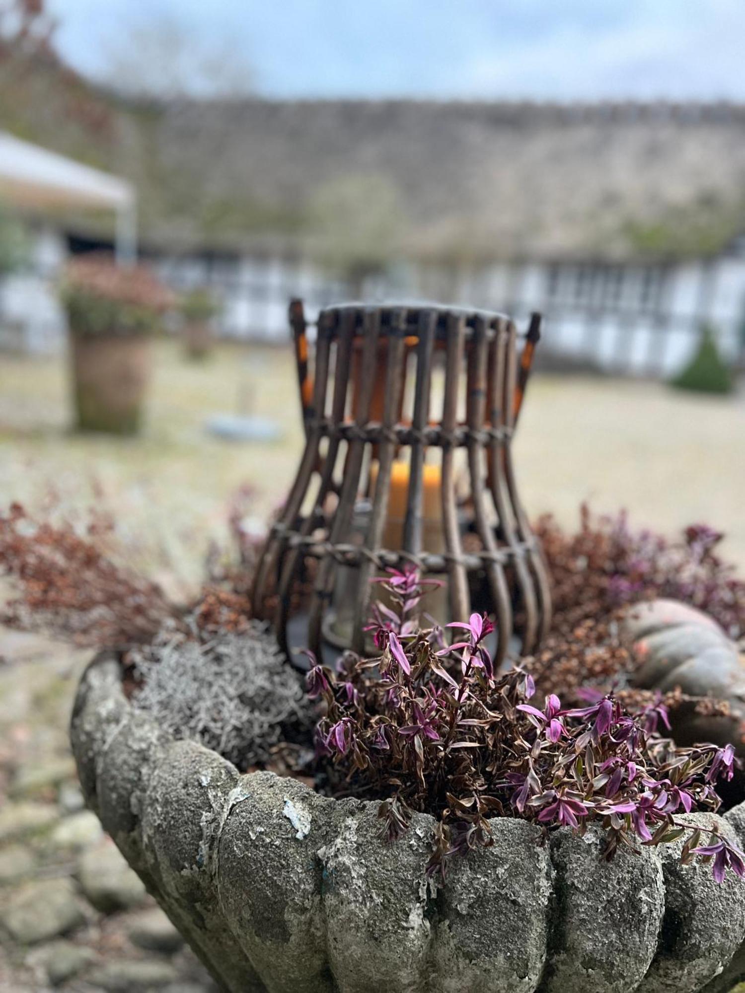Solbjerggaard Bed & Breakfast フ ァボルグ エクステリア 写真