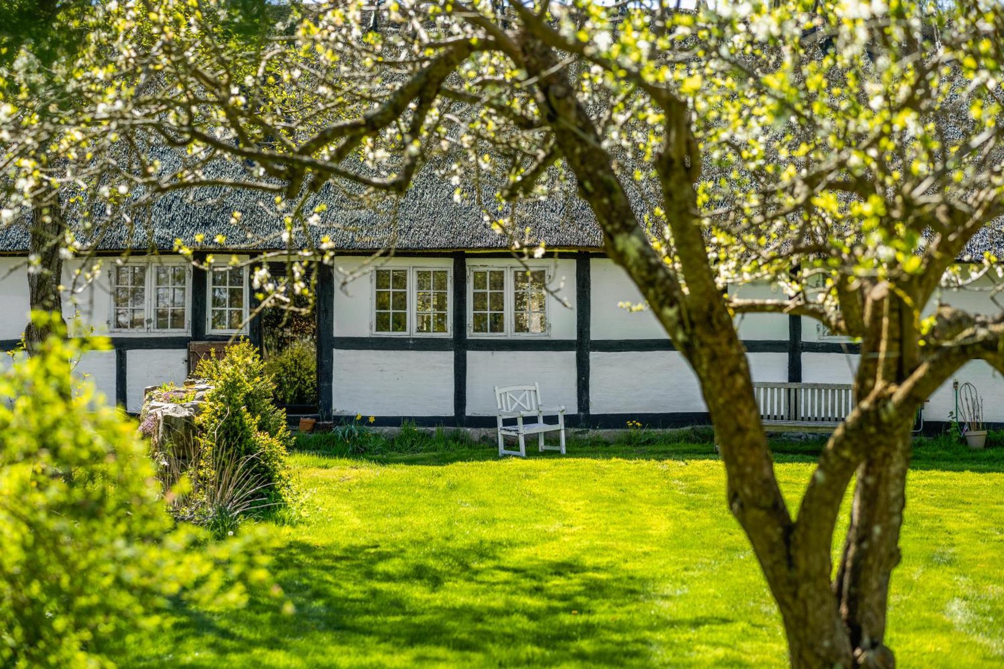 Solbjerggaard Bed & Breakfast フ ァボルグ エクステリア 写真