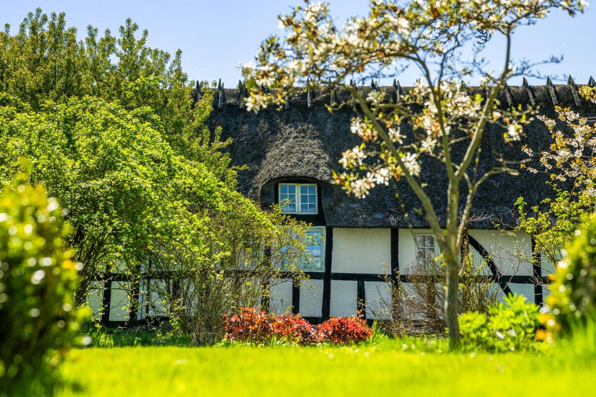 Solbjerggaard Bed & Breakfast フ ァボルグ エクステリア 写真