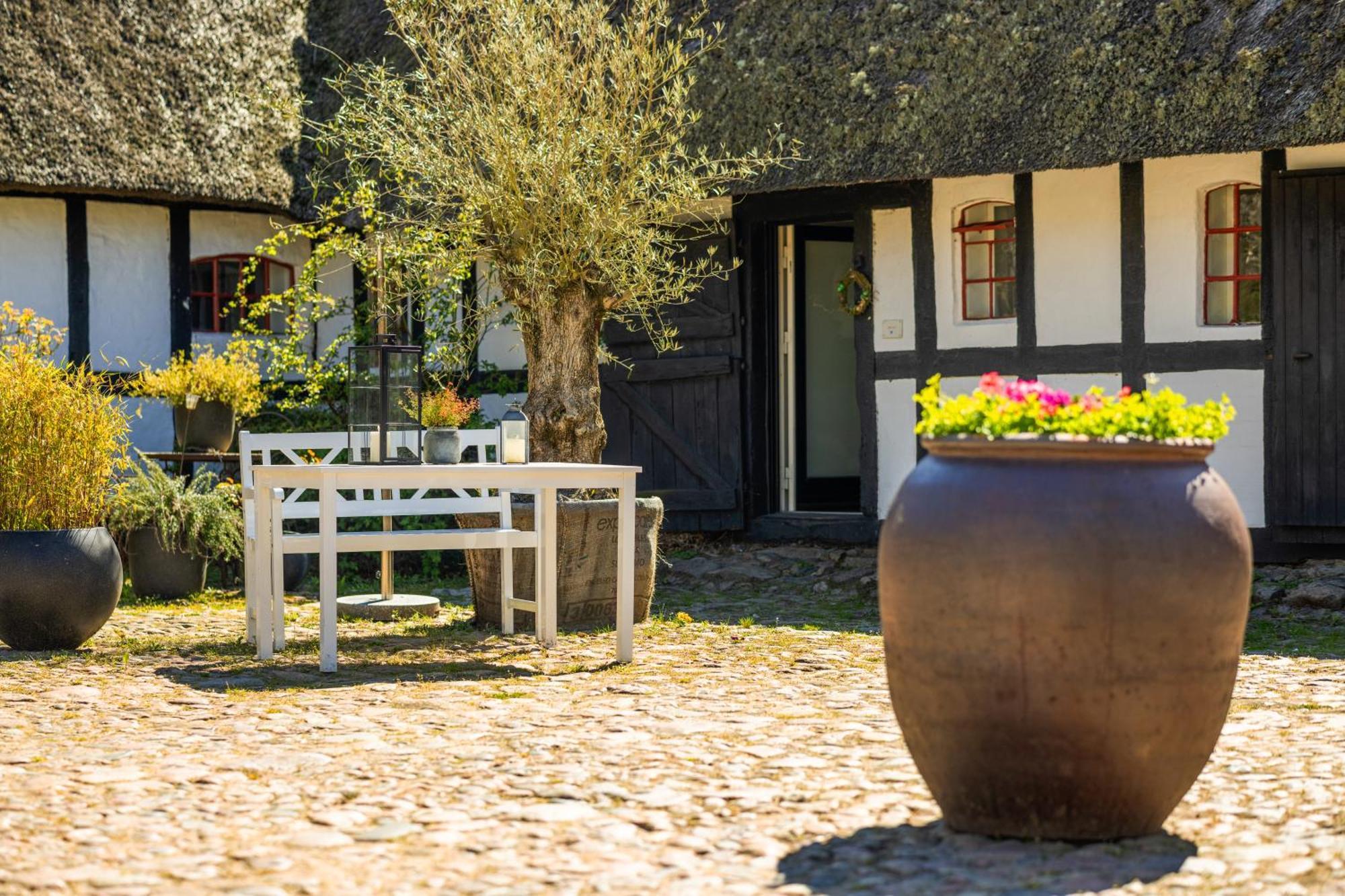 Solbjerggaard Bed & Breakfast フ ァボルグ エクステリア 写真